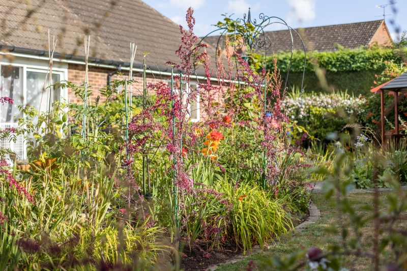 The Nutrition Garden